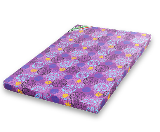 Super Flex Double Layer | PIYESTRA : Affordable Furniture for Your Home