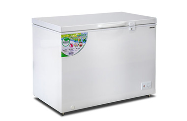 Chest Freezer 320L