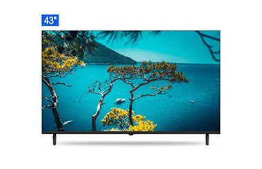 43″ LED FHD TV